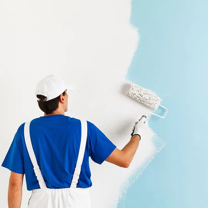 Kiraz iç cephe boyama